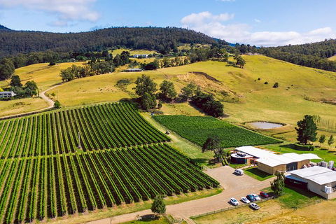 Tasmanian Wine Tour - eAccommodation 4