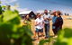 Tasmanian Wine Tour - thumb 5