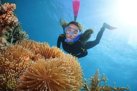 Quicksilver Outer Great Barrier Reef Snorkel Cruise From Palm Cove - eAccommodation 2