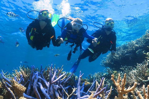 Quicksilver Outer Great Barrier Reef Snorkel Cruise From Palm Cove - eAccommodation 3