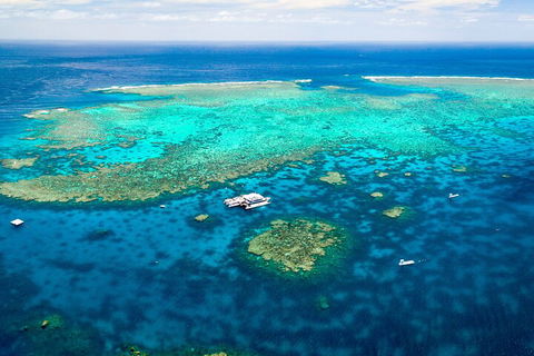 Quicksilver Outer Great Barrier Reef Snorkel Cruise From Palm Cove - eAccommodation 4