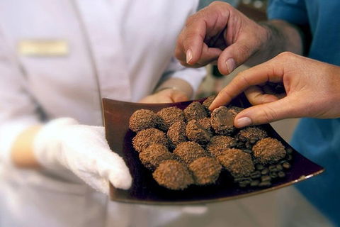 Explore Adelaide City Tour: Haigh's Tasting Chocolate & Adelaide Oval Tour - eAccommodation 2
