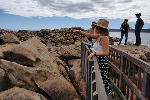 Margaret River Impression Day Tour From Perth - eAccommodation 4