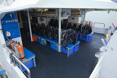 Silverswift Outer Great Barrier Reef Dive And Snorkel Cruise From Cairns - eAccommodation 0