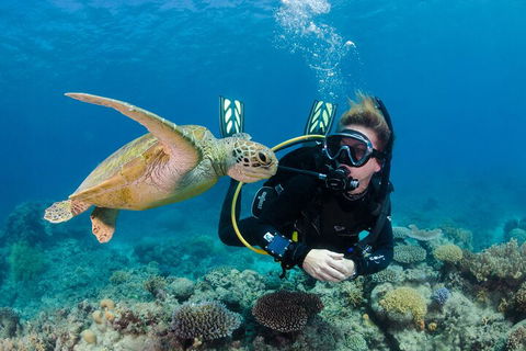 Silverswift Outer Great Barrier Reef Dive And Snorkel Cruise From Cairns - eAccommodation 2