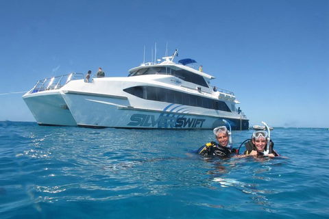 Silverswift Outer Great Barrier Reef Dive And Snorkel Cruise From Cairns - eAccommodation 4