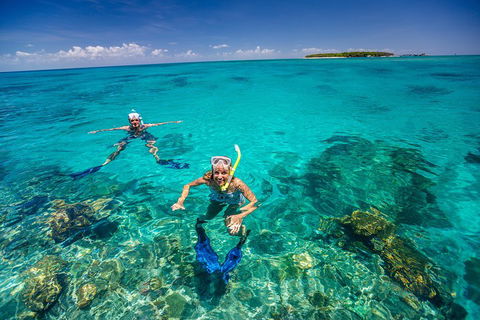 Green Island Discovery Including Glass Bottom Boat Tour Departing Cairns - eAccommodation 2