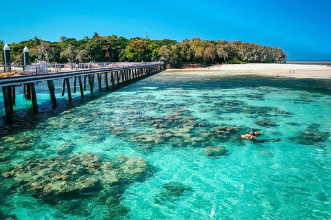 Green Island Discovery Including Glass Bottom Boat Tour Departing Cairns - eAccommodation 4
