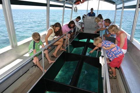 Green Island Discovery Including Glass Bottom Boat Tour Departing Cairns - eAccommodation 5