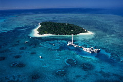 Green Island Day Trip Including Seawalker Helmet Dive COMBO - eAccommodation 5