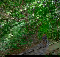 Green Island Eco Adventure from Cairns - eAccommodation