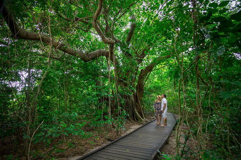 Green Island Eco Adventure From Cairns - eAccommodation 0