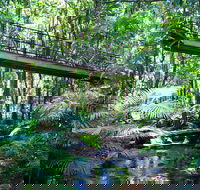Double Pack-Ancient Rainforest and Waterfalls - eAccommodation