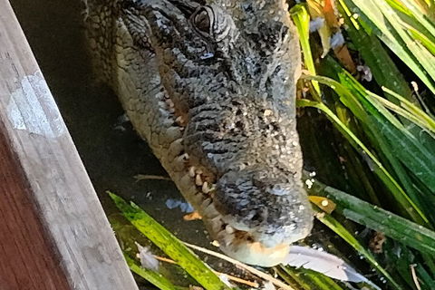 Litchfield Park Adventures And Jumping Crocodile Cruise + Butterfly Farm - eAccommodation 1