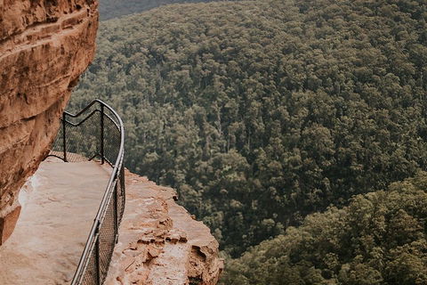 Private Blue Mountains And Wildlife Park Tour From Sydney With Barbecue Lunch - eAccommodation 5