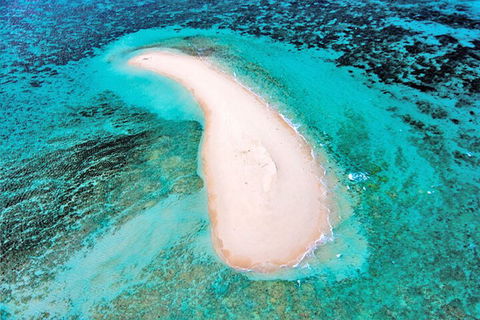 Private Coral Cay Bubbles Tour - eAccommodation 3