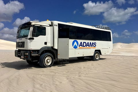 Pinnacles Desert, Koalas And Sandboarding 4WD Day Tour From Perth - eAccommodation 2