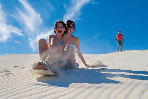 Pinnacles Desert, Koalas And Sandboarding 4WD Day Tour From Perth - eAccommodation 3