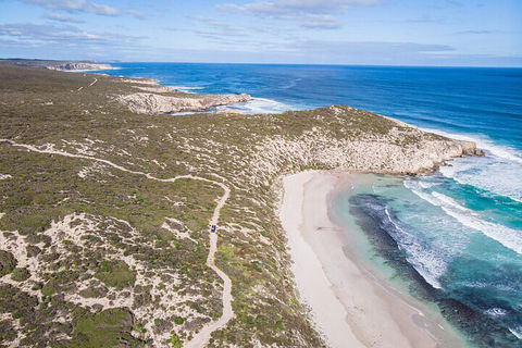 Small-Group Buggy Tour At Little Sahara With Guide - eAccommodation 4