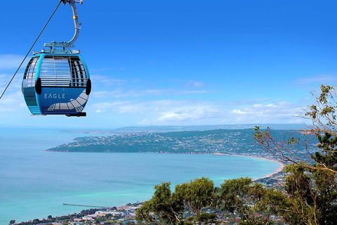 Mornington Peninsula Small Group Day Tour - eAccommodation 2