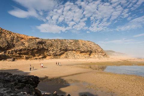 Mornington Peninsula Small Group Day Tour - eAccommodation 5
