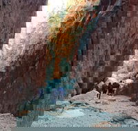 West MacDonnell Private Tour with Transfer - eAccommodation