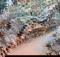 West MacDonnell Ranges Half - Day Tour - eAccommodation