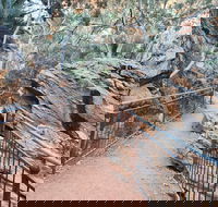 West MacDonnell Ranges Half-Day Private Charter Guided Tour - eAccommodation