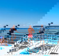 Calypso Outer Great Barrier Reef Cruise from Port Douglas - eAccommodation