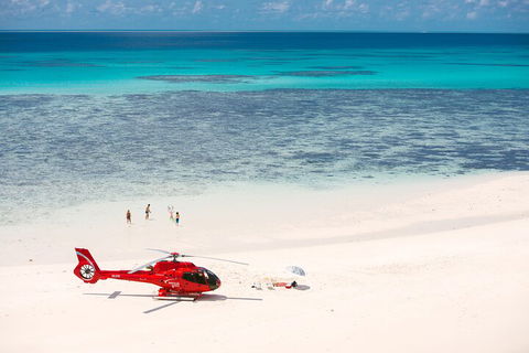 Private Helicopter Tour: Reef Island Snorkeling And Gourmet Picnic Lunch - eAccommodation 2