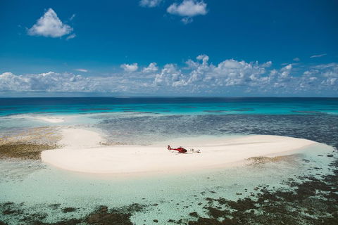 Private Helicopter Tour: Reef Island Snorkeling And Gourmet Picnic Lunch - eAccommodation 4