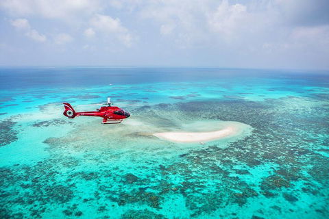 Private Helicopter Tour: Reef Island Snorkeling And Gourmet Picnic Lunch - eAccommodation 5