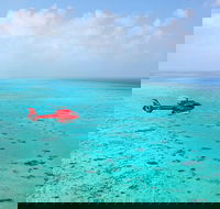 Port Douglas Scenic Flights - eAccommodation