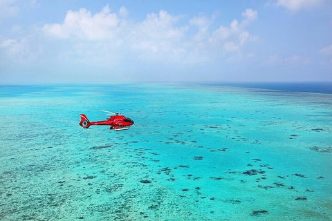 Ultimate Great Barrier Reef And Rainforest 45-minute Helicopter Tour - eAccommodation 2