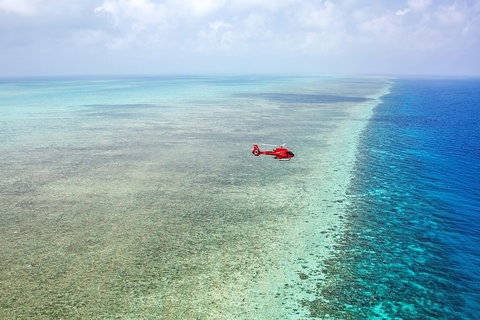 Ultimate Great Barrier Reef And Rainforest 45-minute Helicopter Tour - eAccommodation 5