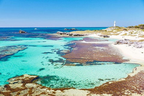 Rottnest Island All-Inclusive Grand Island Tour From Fremantle - eAccommodation 1