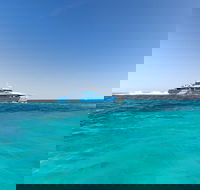Rottnest Island Fortress Adventure Segway Package from Fremantle - eAccommodation