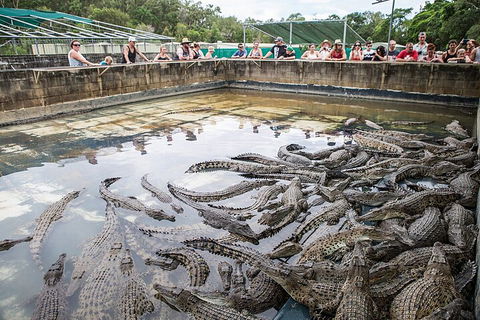 Hartley's Crocodile Adventures Day Trip From Palm Cove - eAccommodation 0