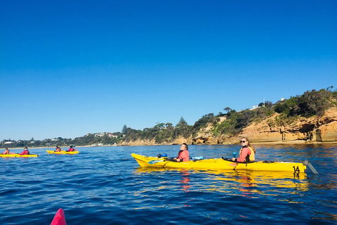 Mornington Peninsula Kayak Coastline Tour Of Dolphin Sanctuary - eAccommodation 1