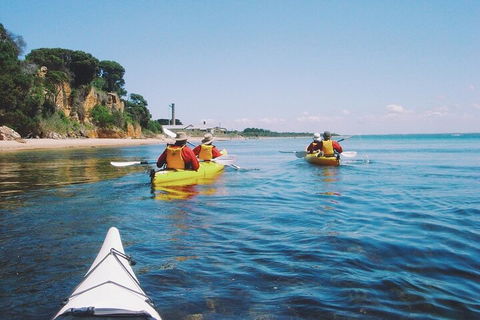 Mornington Peninsula Kayak Coastline Tour Of Dolphin Sanctuary - eAccommodation 5