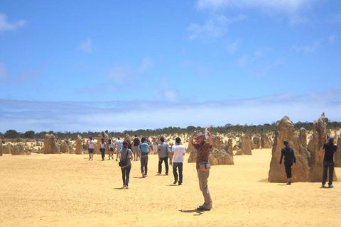Pinnacles & Rottnest Island Scenic Air & Ground Tour - eAccommodation 3