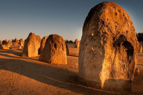 Pinnacles & Rottnest Island Scenic Air & Ground Tour - eAccommodation 4
