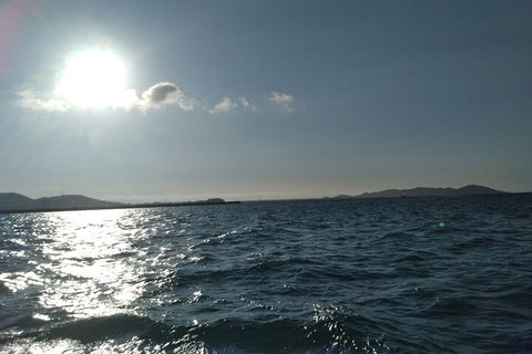 Townsville Small Group Early Morning Sailing Cruise Boat Tour Charter Hire - eAccommodation 4