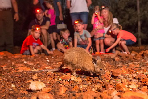 Alice Springs Desert Park Nocturnal Tour - eAccommodation 1