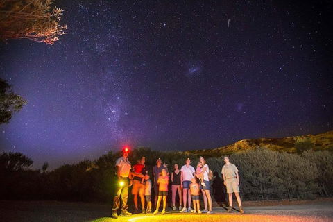 Alice Springs Desert Park Nocturnal Tour - eAccommodation 2
