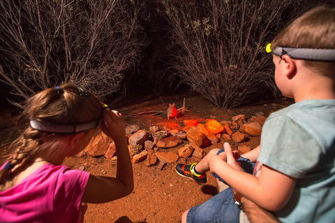 Alice Springs Desert Park Nocturnal Tour - eAccommodation 4
