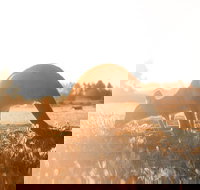 Small Group - 12 Apostles Otways  Great Ocean Road Day Tour from Melbourne - eAccommodation