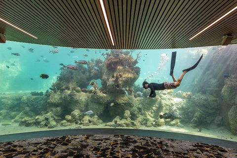Whitehaven Beach And Daydream Island Cruise - eAccommodation 4