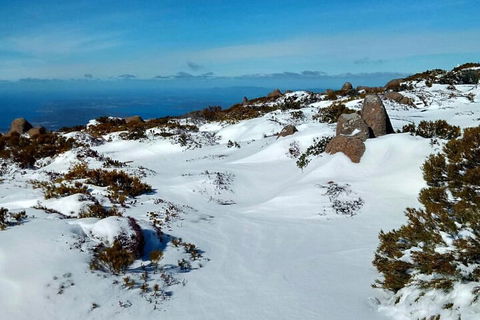 Mount Wellington Ultimate Experience Tour From Hobart - eAccommodation 1