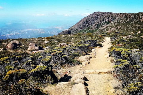 Mount Wellington Ultimate Experience Tour From Hobart - eAccommodation 5